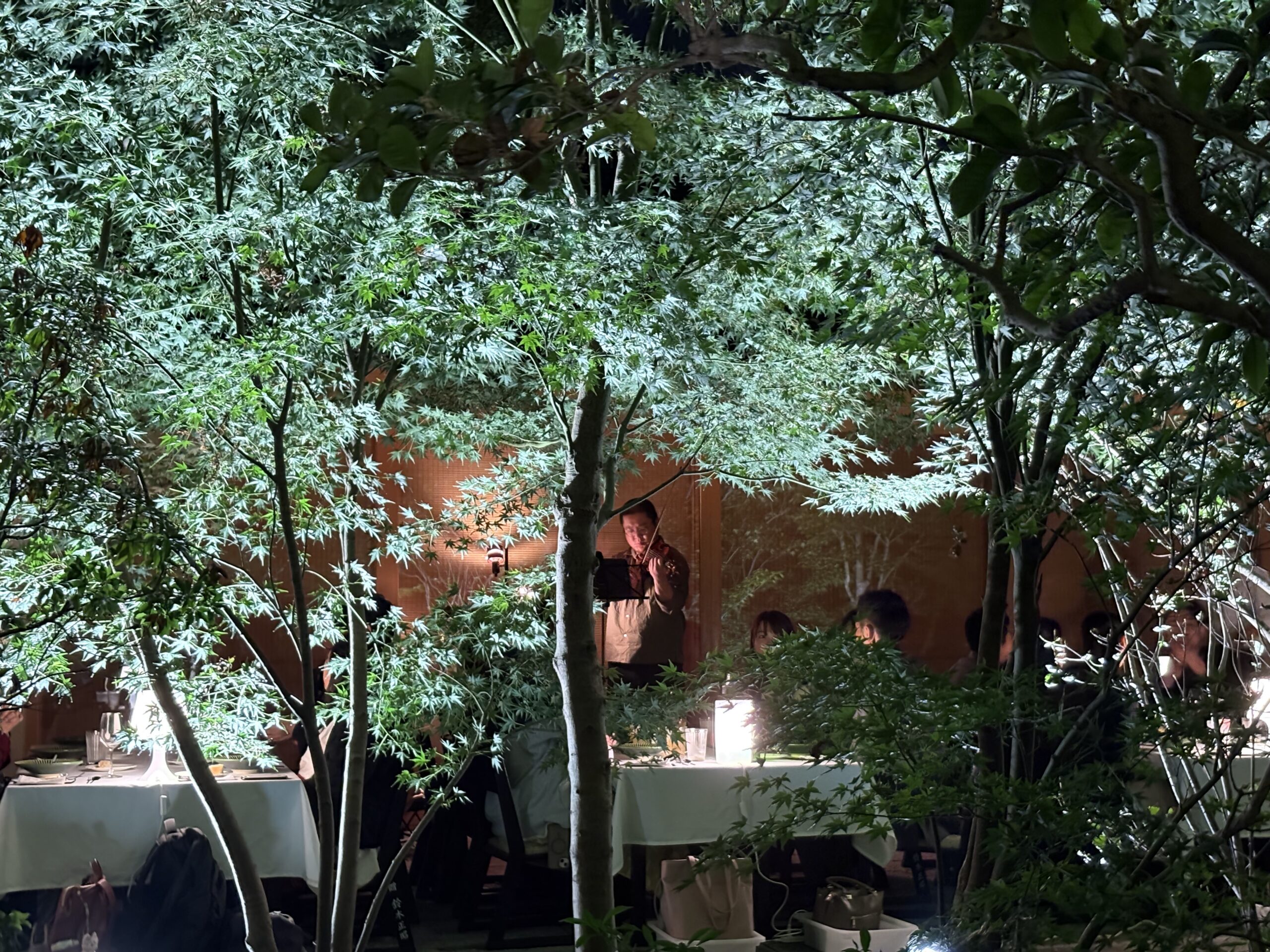 おとむすびは愛知県・安城・西尾・刈谷・碧南・知立の演奏サービス（音楽演奏・音楽教室・音楽レッスン・文化体験事業）を提供しています