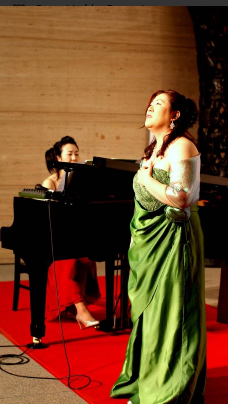 おとむすびは愛知県・安城・西尾・刈谷・碧南・知立の演奏サービス（音楽演奏・音楽教室・音楽レッスン・文化体験事業）を提供しています